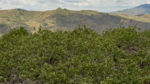 110329961 49696f75 602d 4761 8c9c 5f4e318f9a77 1