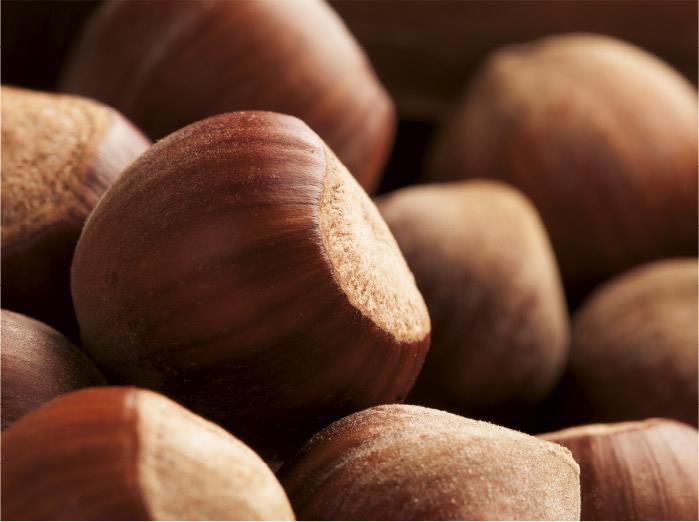 3_hazelnut