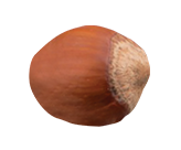 hazelnut